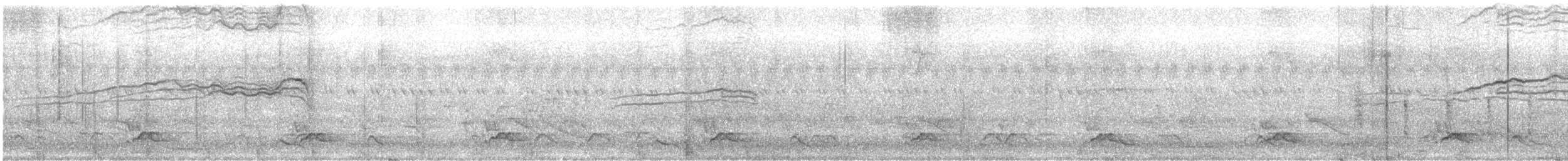 Carpophage argenté - ML610165713