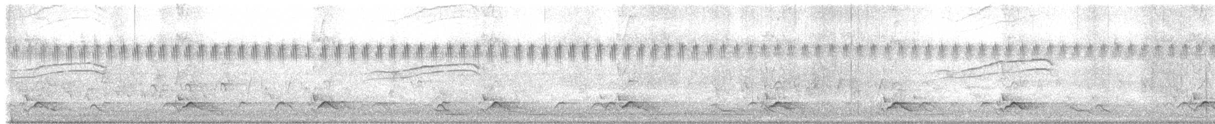 snøkeiserdue - ML610166104