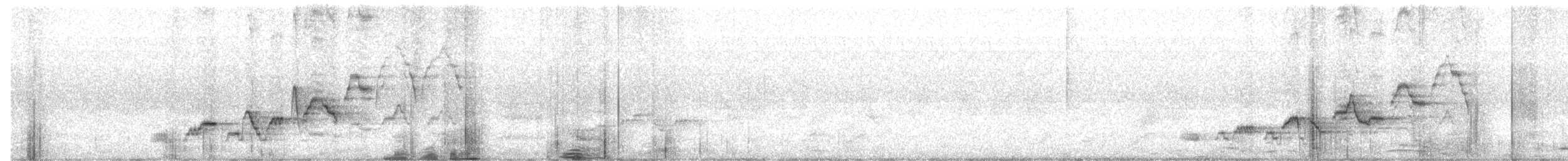 Дрізд-короткодзьоб Cвенсона - ML610173482