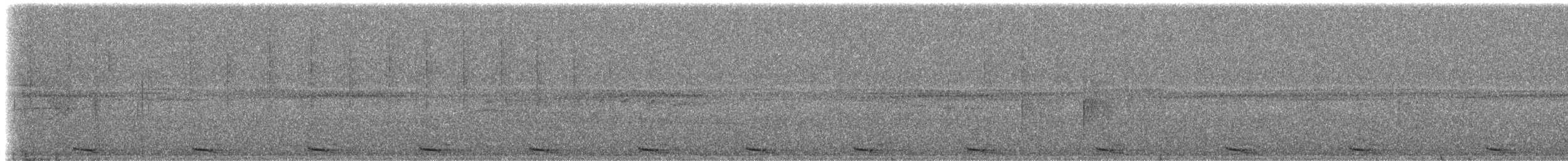 ギンムネカッコウ - ML610174265