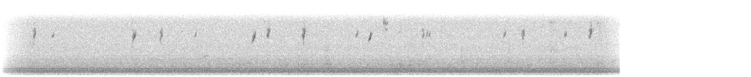 Paruline à croupion jaune (coronata) - ML610177668
