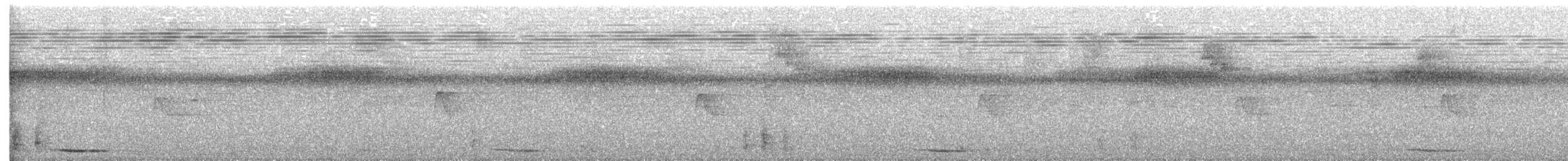holub panamský - ML610179742