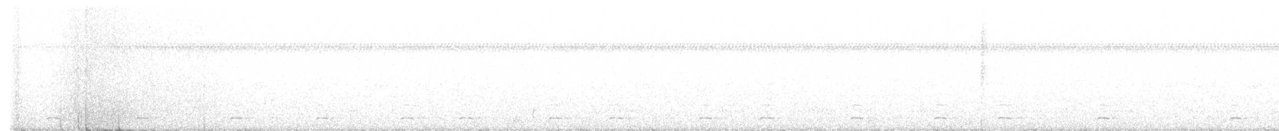 kulíšek mexický (ssp. gnoma) - ML610179947