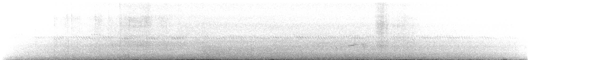 Качурка мадерійська [неописана форма] - ML610193320