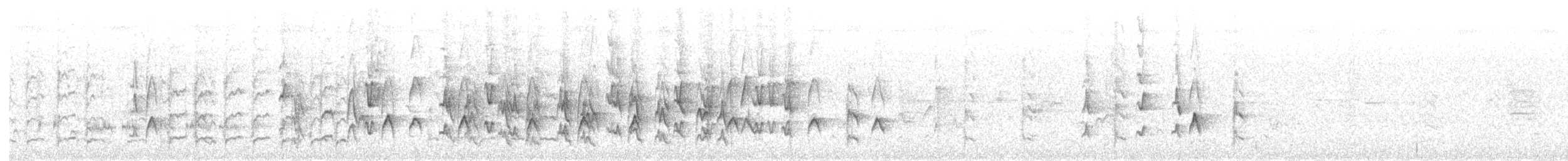 Méliphage fascié - ML610197782