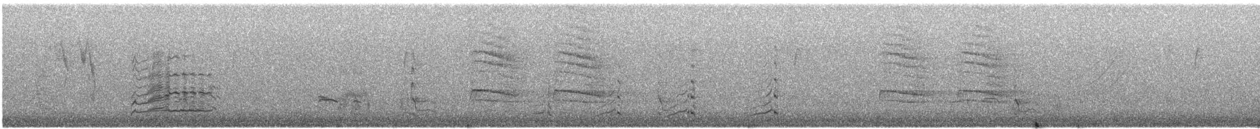 Wood Duck - ML610200217