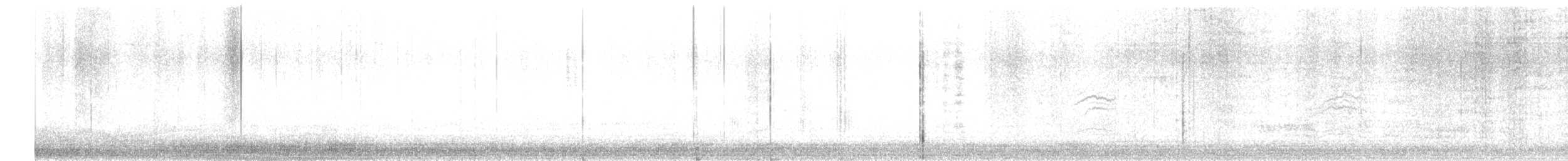 Cuitlacoche (Toxostoma) sp. - ML610211174