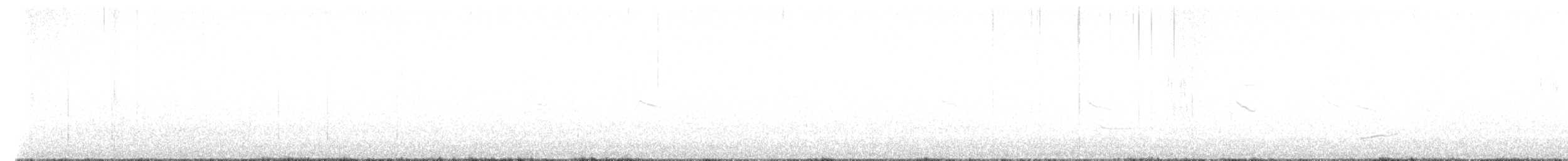 Lavandera Blanca (yarrellii) - ML610215423