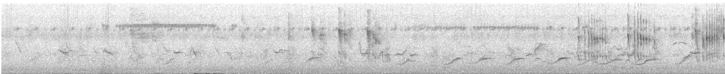 Mariana Swiftlet - ML610228071