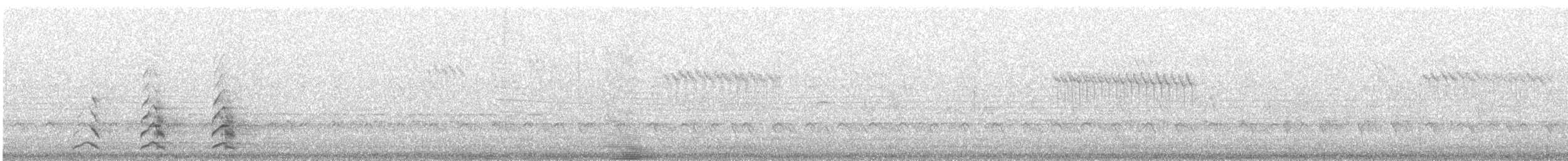 Lapon Baykuşu (lapponica) - ML610229690