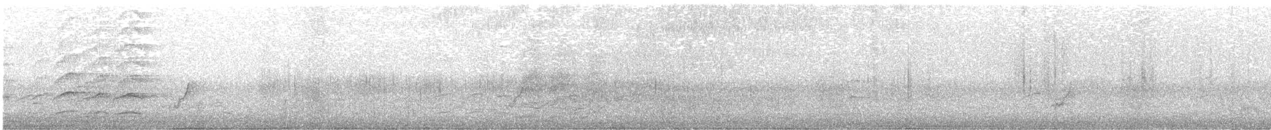 Méliphage bruyant - ML610230224