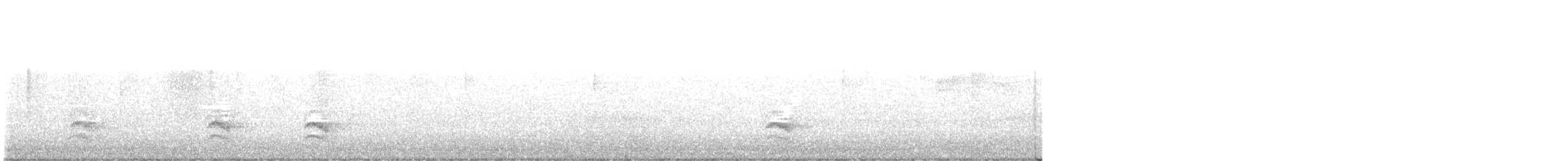 Sittelle à poitrine blanche (aculeata/alexandrae) - ML610232119