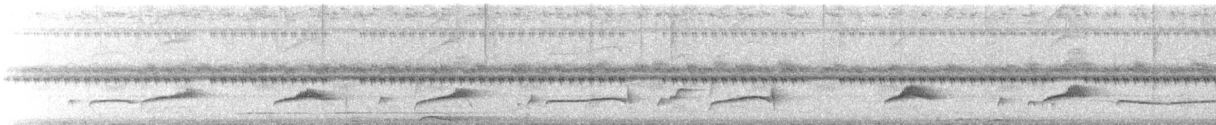 Augenstreif-Schnäppertyrann - ML610234738