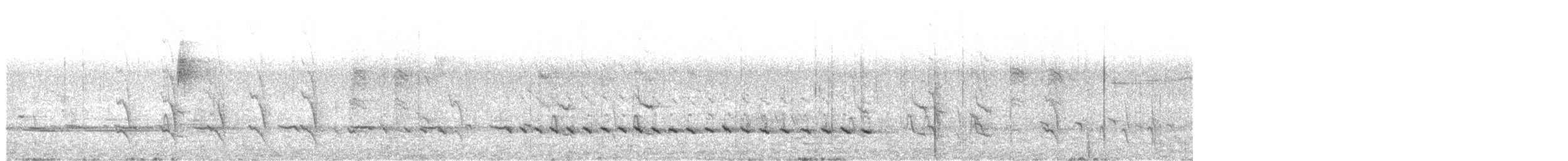 Méliphage du Swan - ML610234960