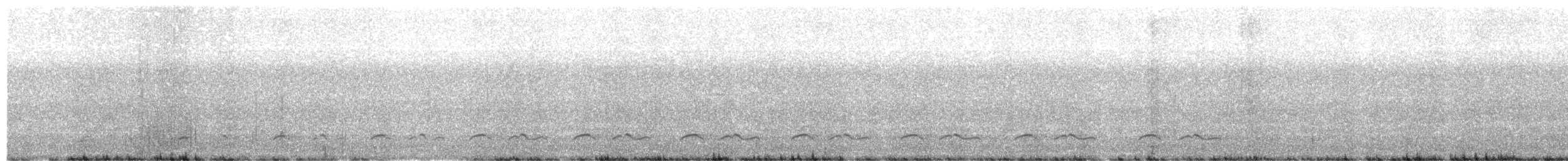 Lyre-tailed Nightjar - ML610236661