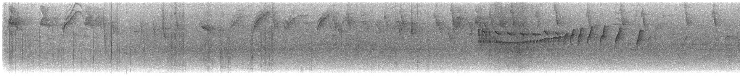 Черноухий тираннчик - ML610243591