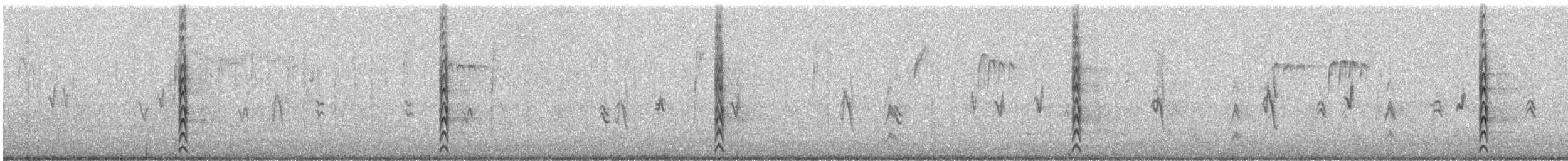 Rundschwanzhabicht - ML610249237