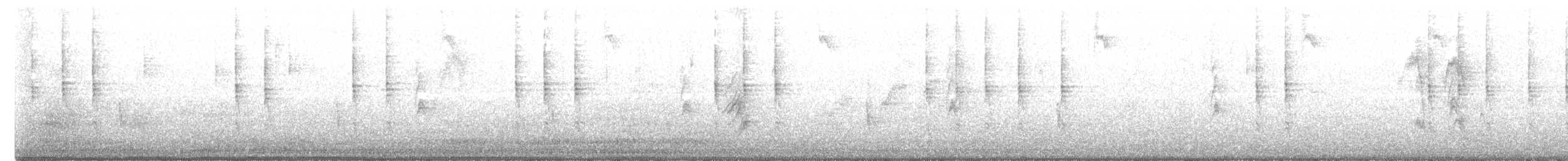 Troglodyte de Baird - ML610250555