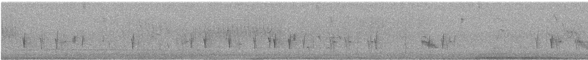 Fichtenkreuzschnabel - ML610251029