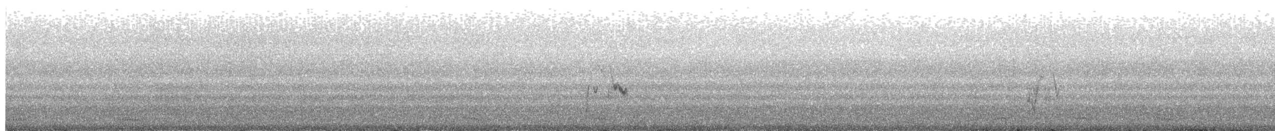 Bergeronnette grise - ML610251415