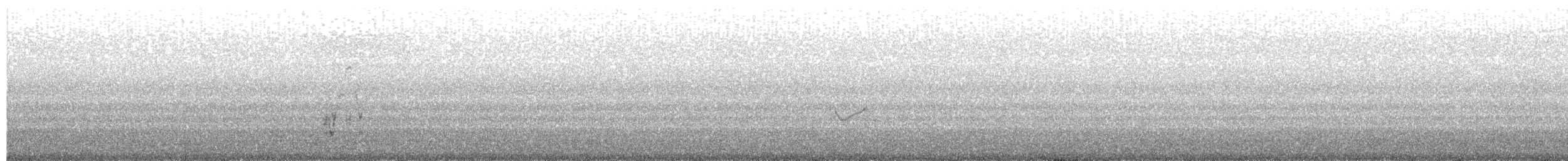 Bergeronnette grise - ML610251416