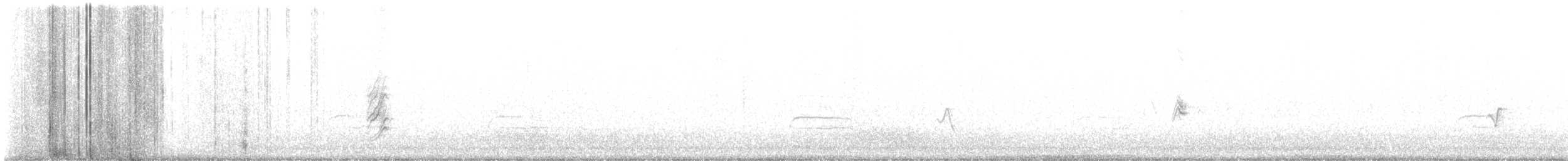 House Finch - ML610252587