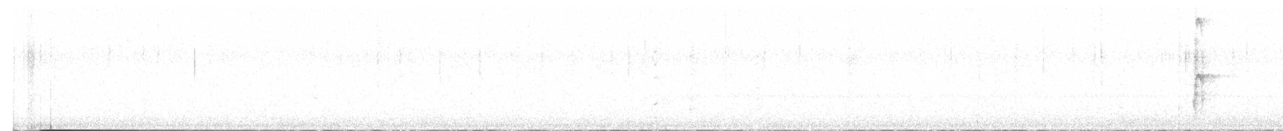 Hairy Woodpecker - ML610254164