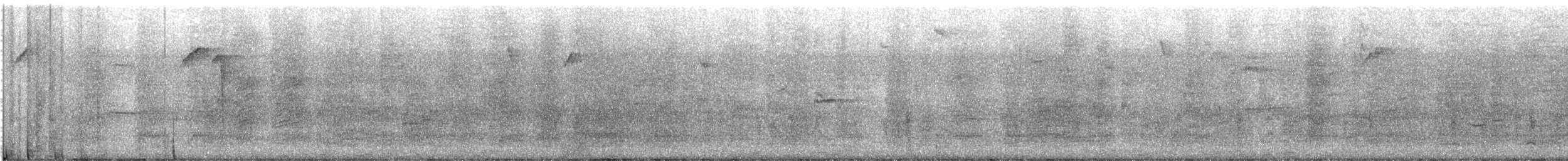 Common Grackle - ML610258915