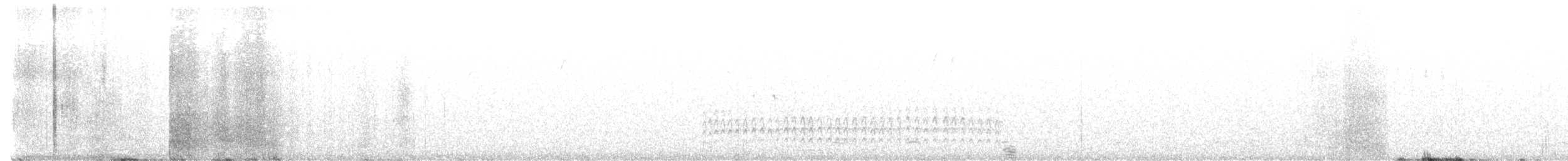 Weißbrustkleiber - ML610266991