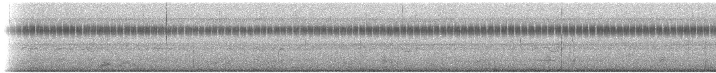 Chotacabras Colipinto - ML610274902