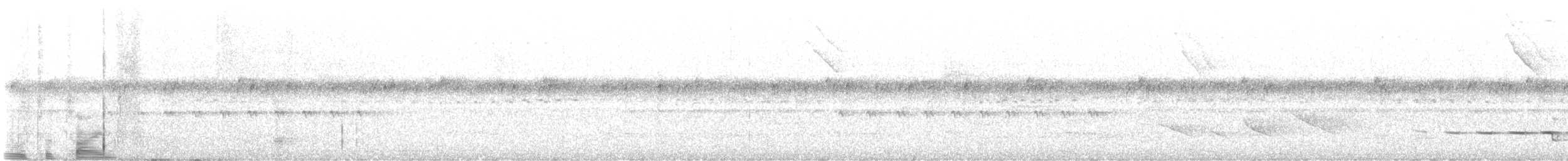 Grallaire de Natterer - ML610282255