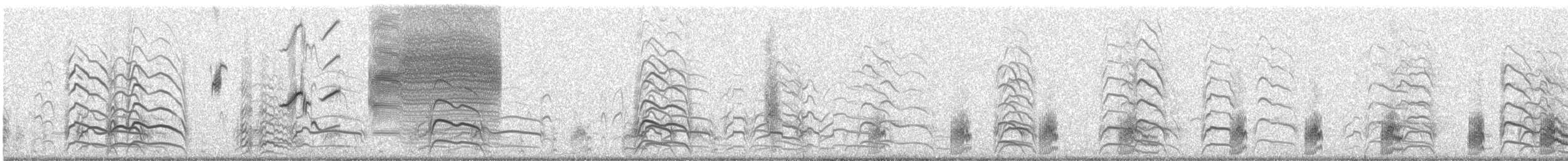 Flussnachtschwalbe - ML610284097