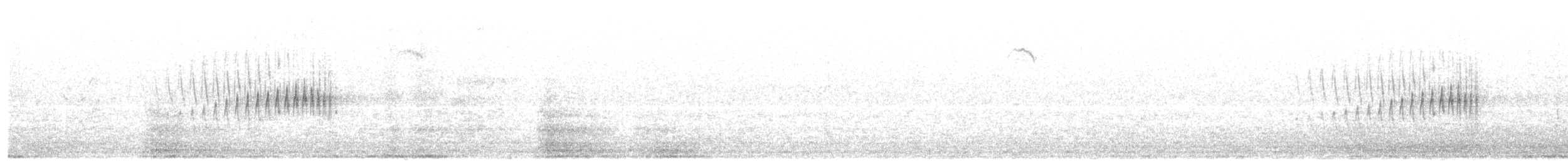 striperyggkurvfugl (sclateri gr.) - ML610287743