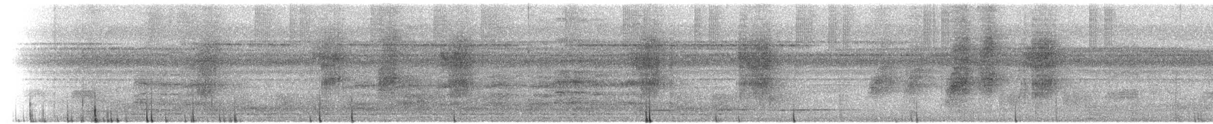 Пласкодзьоб західний - ML610292856