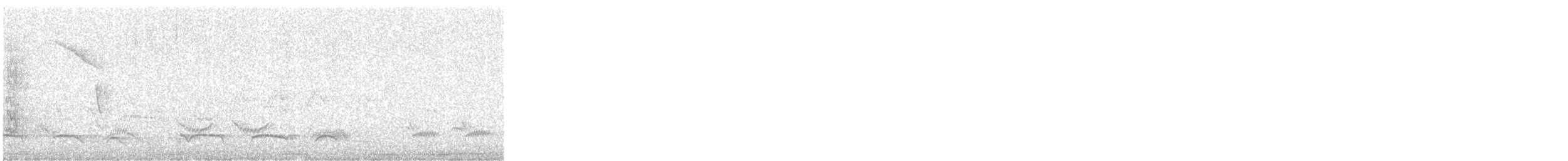 Лінивка-смугохвіст плямистобока - ML610296798
