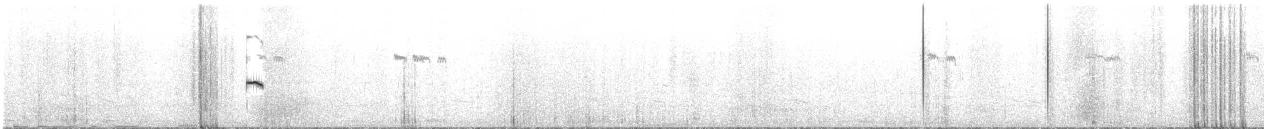 gransanger (tristis) (sibirgransanger) - ML610296913