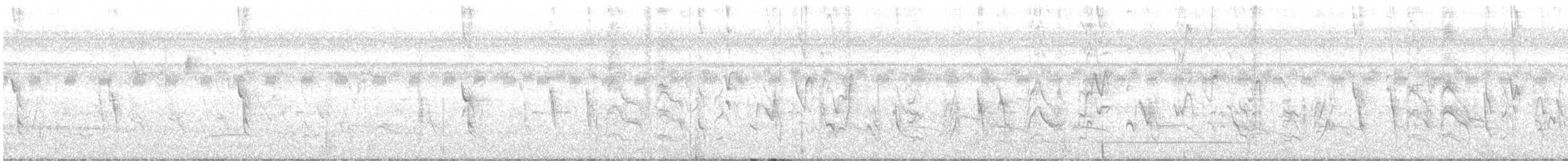 Рисоїд нікарагуанський - ML610297031