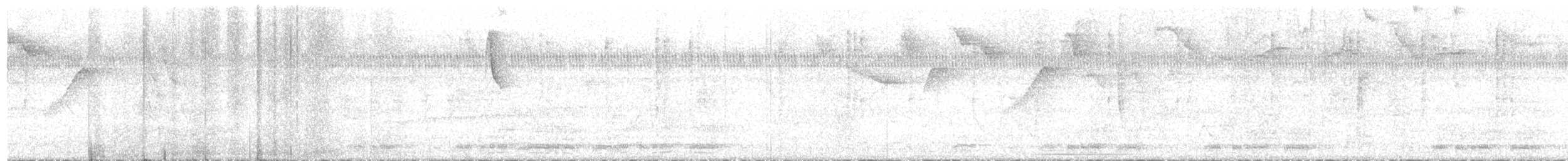 Aratinga de Wagler - ML610300239