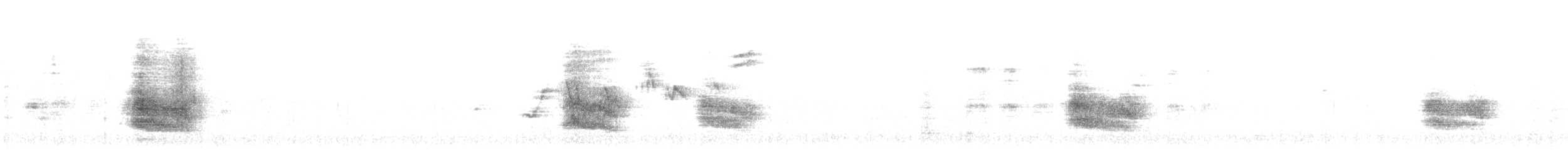 Тауї плямистий [група oregonus] - ML610301583
