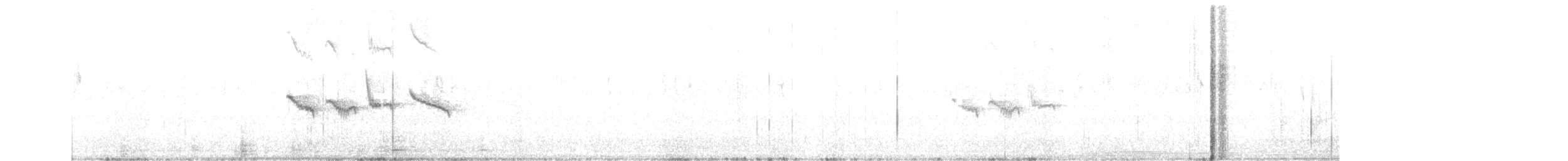 topplerke (cristata gr.) - ML610301689