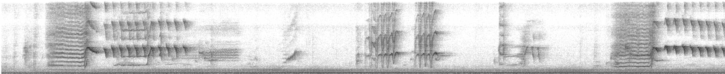 storhaletrupial - ML610304898