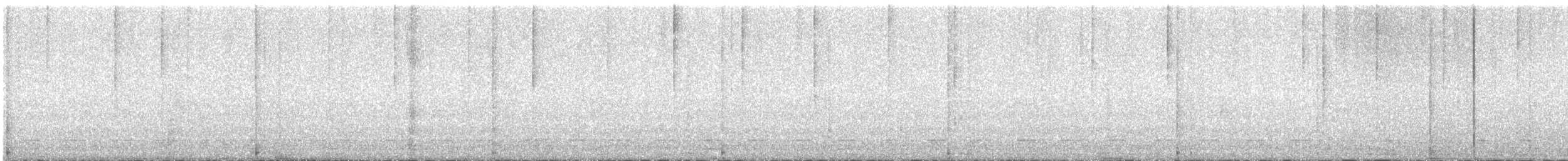 Chevêchette australe - ML610308761