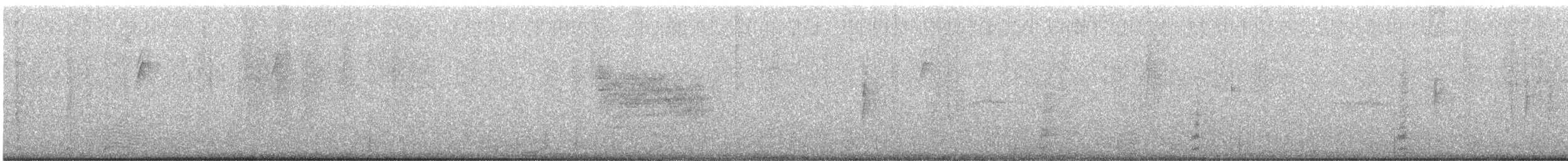 solitary vireo sp. - ML610311385