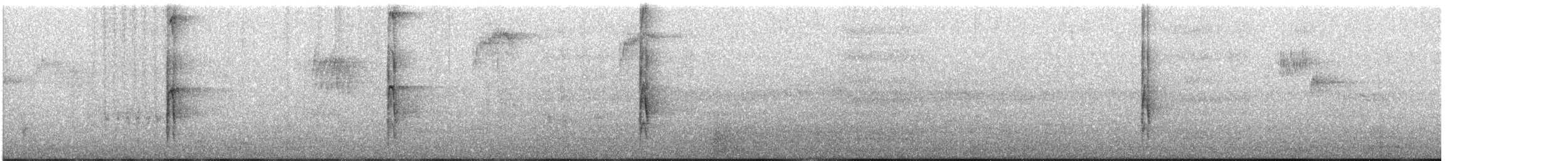 strakapoud americký - ML610322311