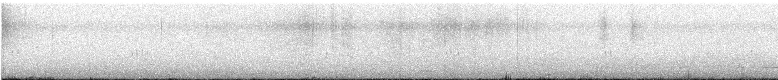 Plectrophane lapon - ML610323079