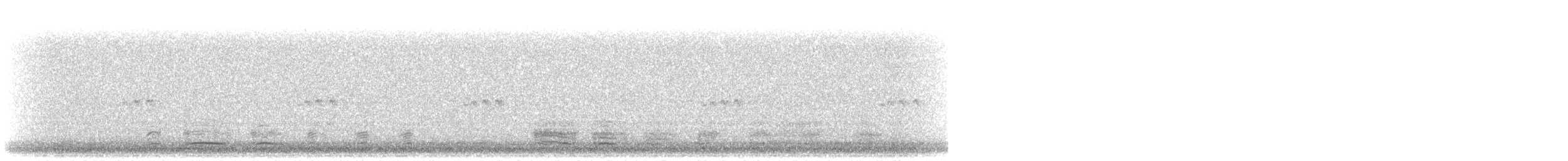 Mallard/American Black Duck - ML610328856