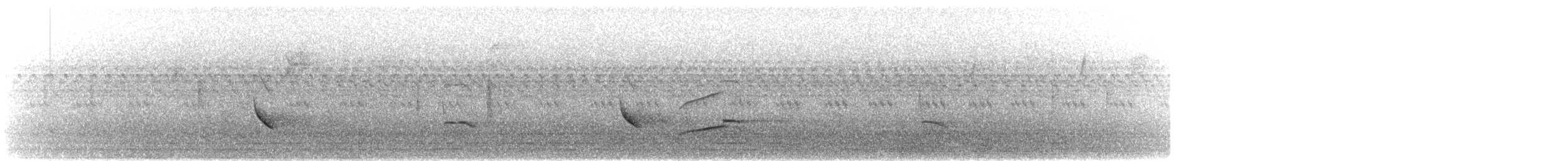 Fischadler (carolinensis) - ML610338795