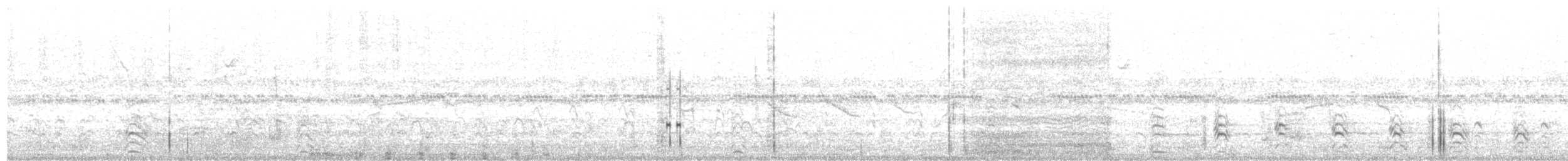 Échasse d'Amérique (melanurus) - ML610341254