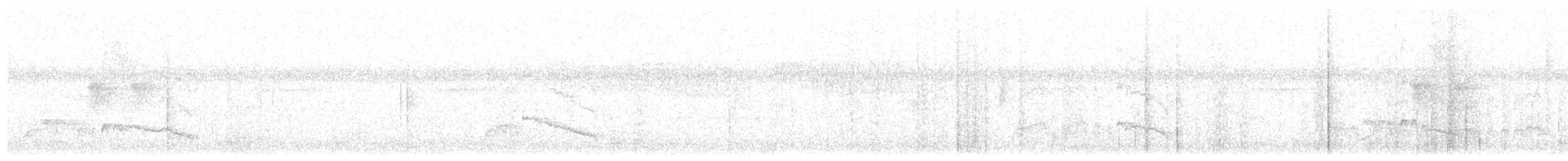 Кокоа плямистий - ML610350285