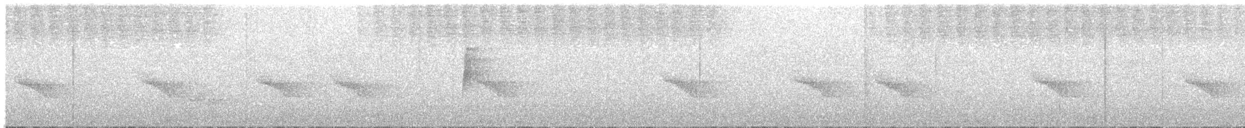 Sarımsı Karınlı Ardıçesmeri - ML610354874